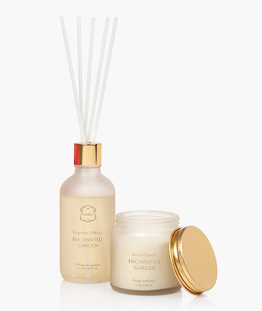 מארז אוירה מיני גרדן